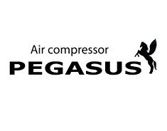 PEGASUS